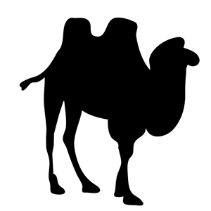 Camel contour