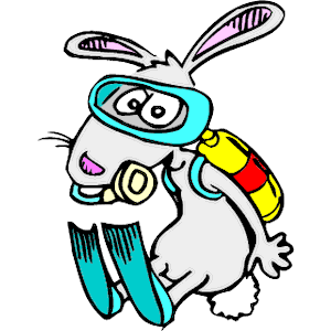 Rabbit - Scuba