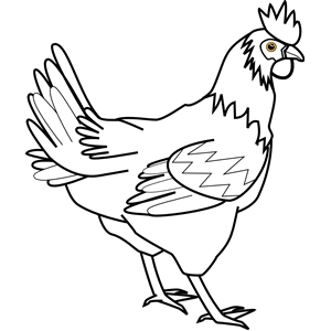 chicken line art davidone Chicken