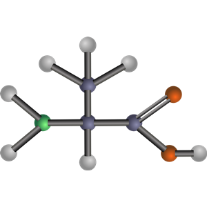 Alanine (amino acid)