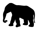 contour elephant