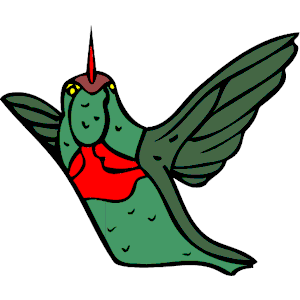 Hummingbird 08