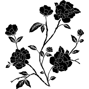 Flowers Rose