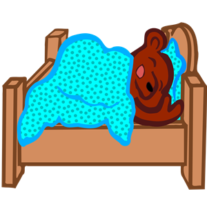 hibernating bear - coloured