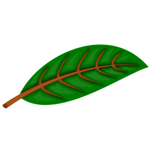 Plant leaf with structure