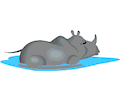 Rhino Swimming