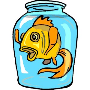 Fish in Jar
