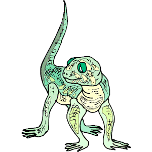 Gecko 04