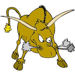 Bull - Angry 3