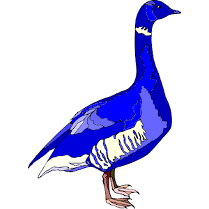 Goose 21