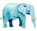 Elephant 08