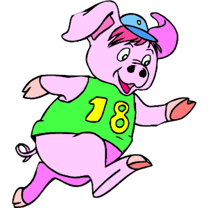 Pig Running