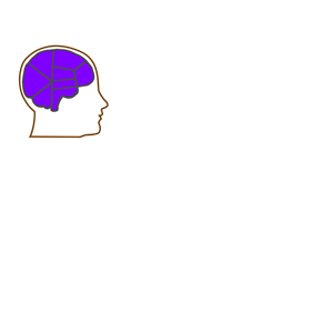 Head And Brain Outline