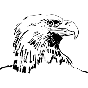 Eagle 002