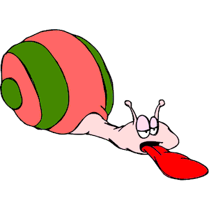 Snail Tired
