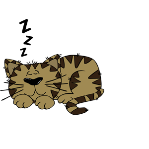 Sleeping Cat