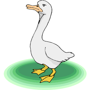 Goose 17