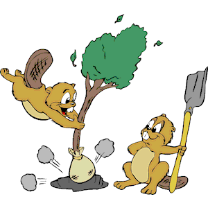 Beavers Planting Tree
