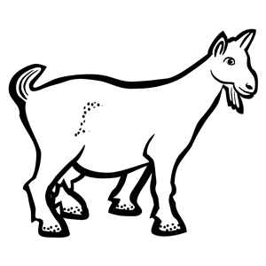 goat - lineart