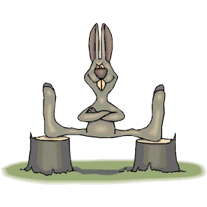 Rabbit Martial Arts