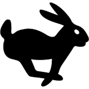 Rabbit 05