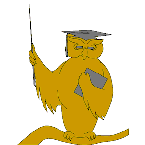 Owl - Professor