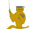 Owl - Professor