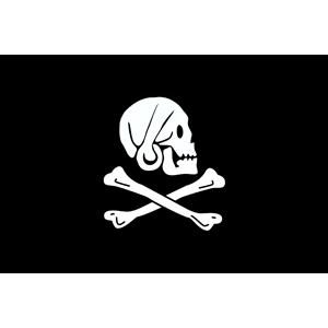 pirate flag - Henry Every