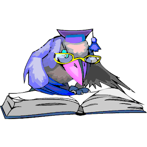 Bird - Scholar