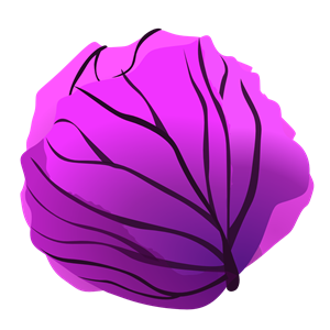 Pink Cabbage