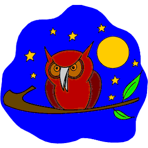 Owl 19