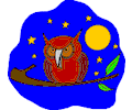 Owl 19