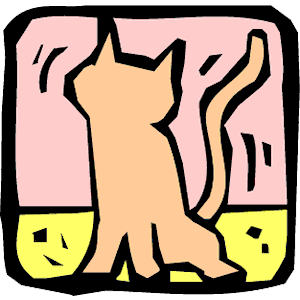 Cat 05
