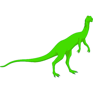 Dinornis 16