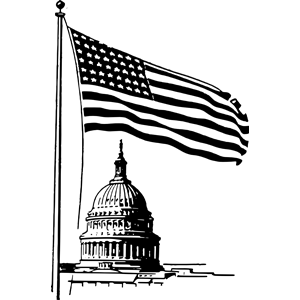 Capital Flag