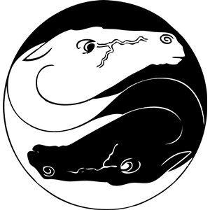 yin yang horses