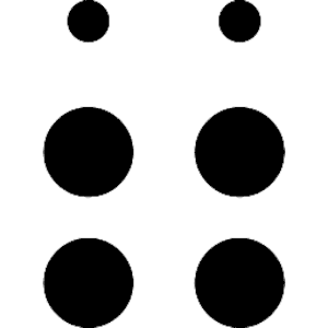 0 Braille   ()