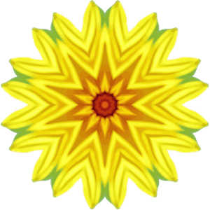 Sunflower kaleidoscope 13