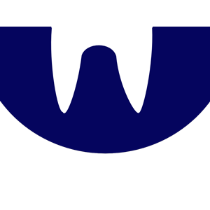 Blue Tooth Logo