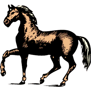 Horse 001