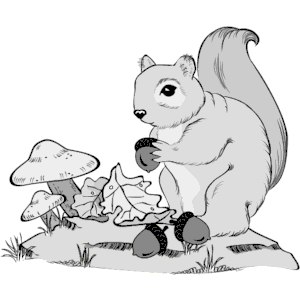 Squirrel with Acorn