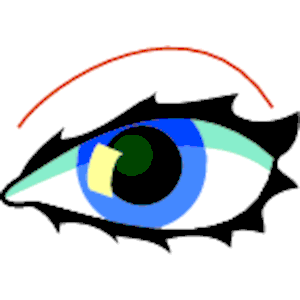 Eye 013