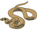 Snake 01