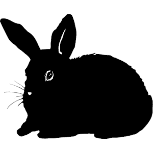Rabbit 10