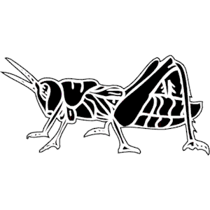 Grasshopper 3