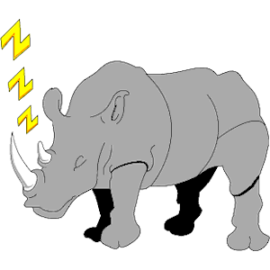 Rhino Sleeping
