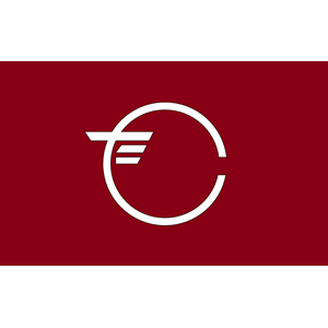 Flag of Tamakawa, Fukushima