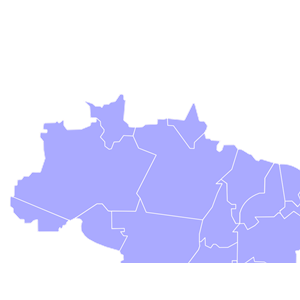 Mapa Brasil Laranja