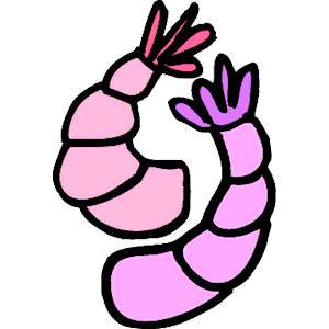 Shrimp 15
