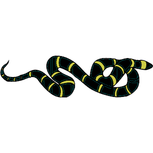 Snake 08